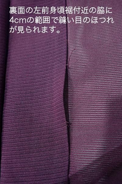 WEB限定【D-2227】（S・細め）絽 小紋 紫紺色 楓の図 - 銀座