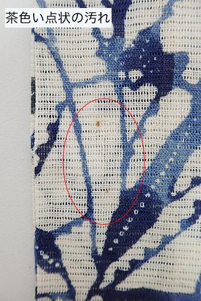 銀座【D-2268】（S）絽麻 型絵染 小紋 白色×藍色 芒や秋草の図