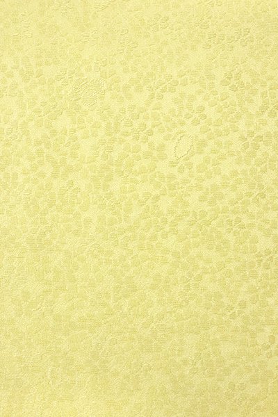 銀座【C-1688】（L）染一ッ紋 色無地 淡黄色 桜の地紋 - 銀座きもの 