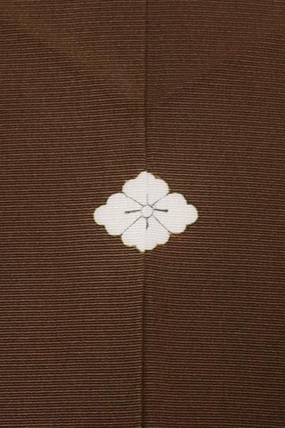 銀座【B-3035】（L・広め）染一ッ紋 色留袖 黒鳶色 葡萄唐草文に