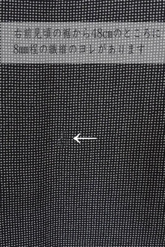 銀座【C-2494】竪絽 江戸小紋 黒色 角通し（落款入・反端付
