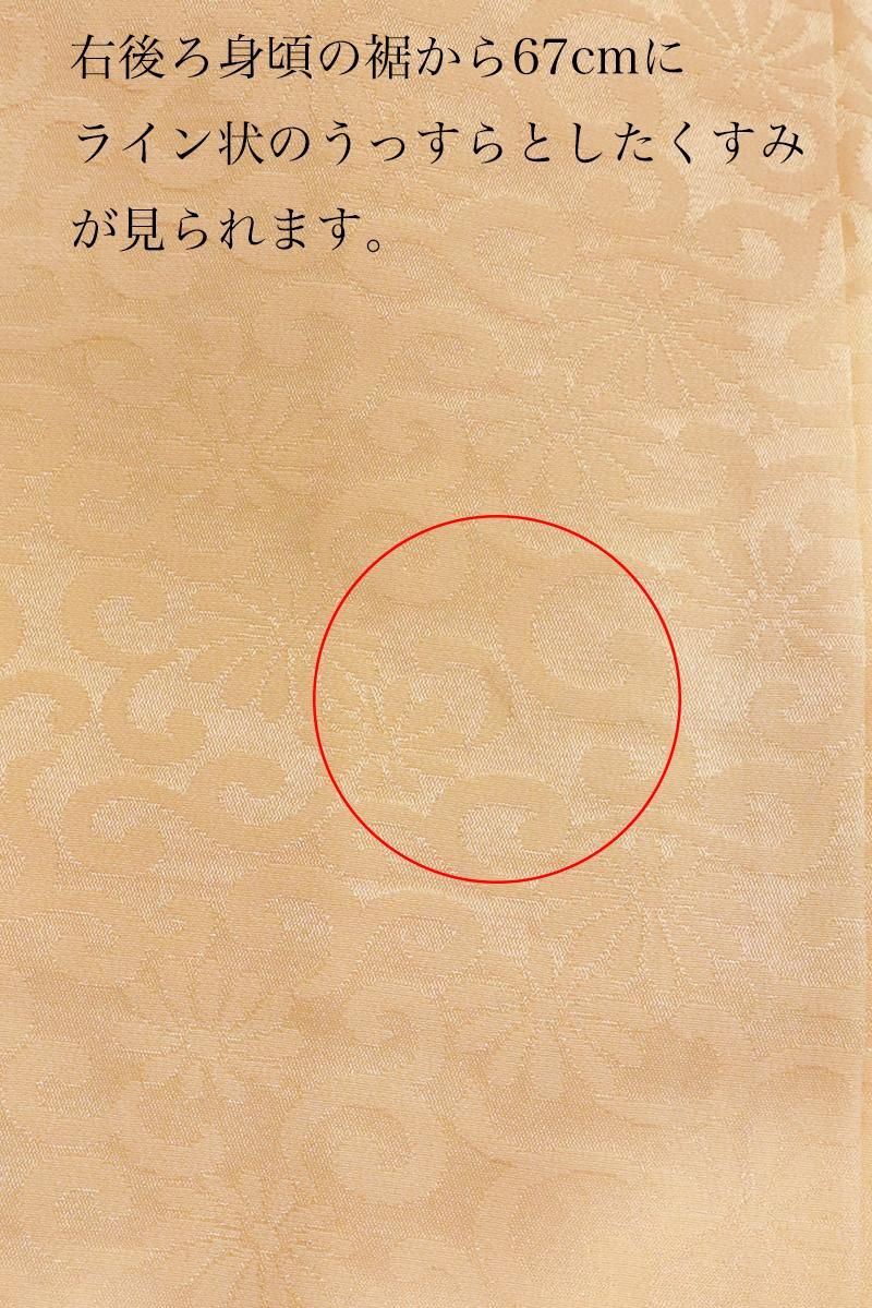 銀座【B-3676】繍一ッ紋 付下げ 雄黄色 蝶の図 - 銀座きもの青木 銀座【B-3676】繍一ッ紋 付下げ 雄黄色 蝶の図 - 銀座きもの青木