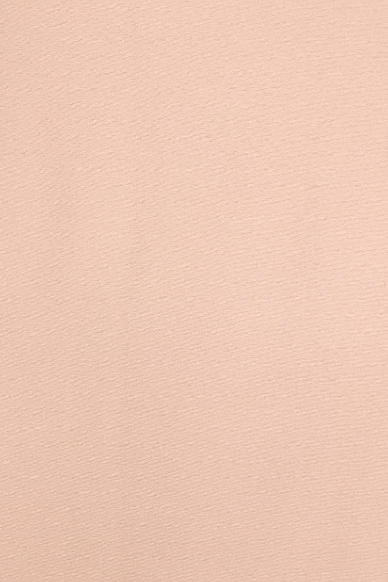 色無地ピンク BB-0145-torusoA3.jpg