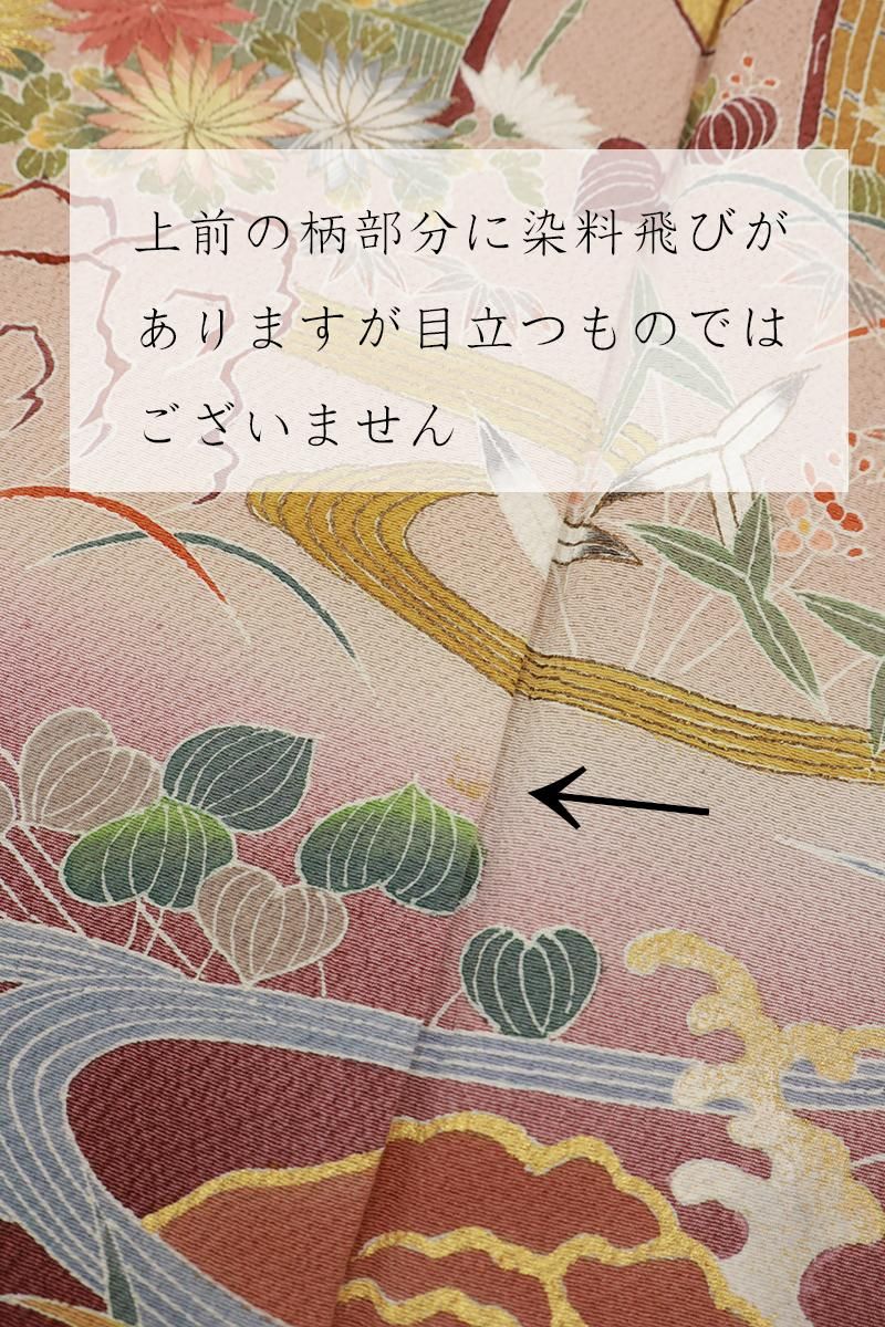 銀座【B-3945】千ぐさ染繍製 染三ッ紋 縮緬地 色留袖 赤色系 水辺の
