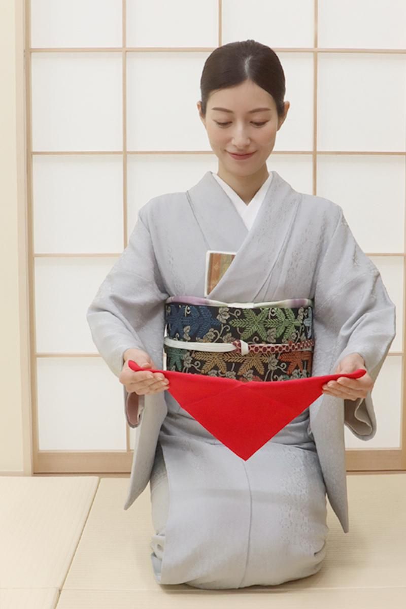 グレー 色無地 着物 紋意匠 一つ紋付 未使用 グレー 色無地 着物 紋意匠 一つ紋付 未使用