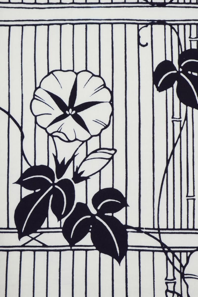 銀座【D-3784】木綿地 浴衣 白色 垣根に朝顔の図 :身丈157.5/裄64.5