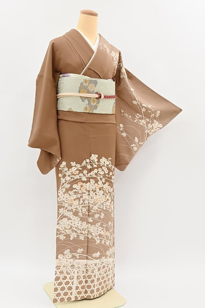 ¡B-4324۽ ˬ 㿧 ˵Ƥο :Ⱦ159.5/66.5