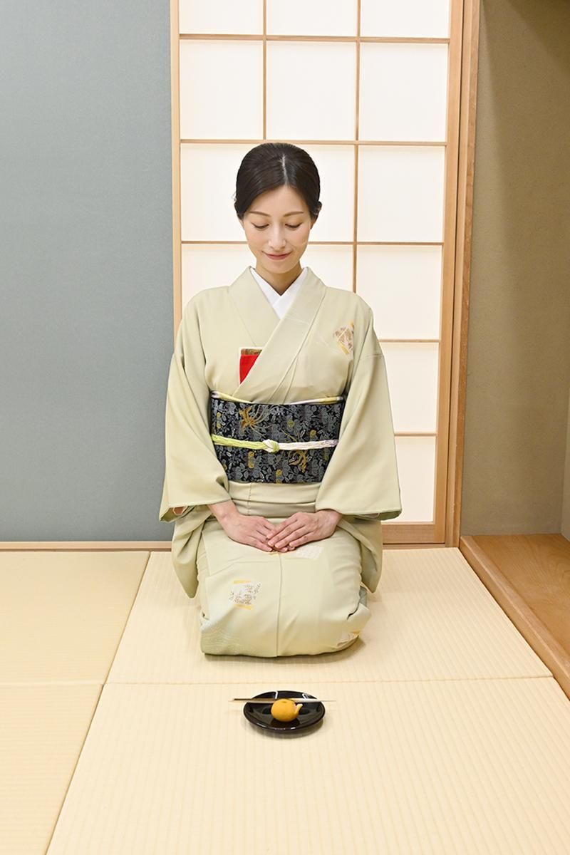銀座【B-4392】付下げ 灰みの薄柳色 源氏香の図（反端付・三越扱い