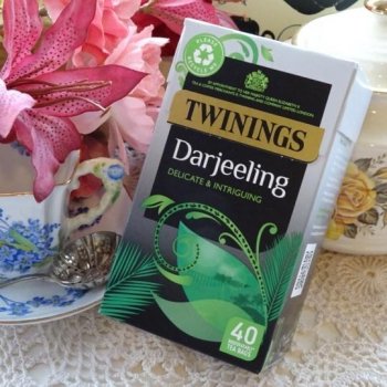 Twinings Darjeeling <br>ȥ磻˥󥰡 : 40 ƥХå