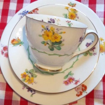 Royal DoltonVintage  Flower Design Tea Trio <BR>ɥȥ  ơ եǥ ƥȥꥪ 