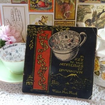 <img class='new_mark_img1' src='https://img.shop-pro.jp/img/new/icons15.gif' style='border:none;display:inline;margin:0px;padding:0px;width:auto;' />*Antique* The Cup of Knowledge Instructions <BR> ꤤ եƥ󥰥åײʥƥ