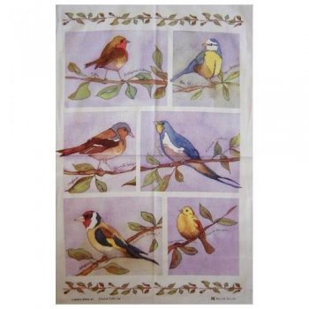 【McCAW ALLAN】Cotton Tea Towel:GARDEN BIRDS<br>エマボール コットン　ティータオル:ガーデンバーズ