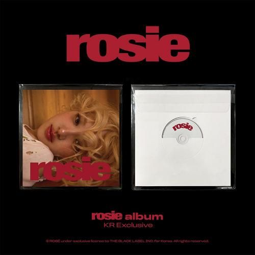 BLACKPINK クリアバッグ ペンライトケース