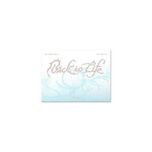 <img class='new_mark_img1' src='https://img.shop-pro.jp/img/new/icons13.gif' style='border:none;display:inline;margin:0px;padding:0px;width:auto;' />&TEAM - KR 1st Mini Album 'Back to Life' Photocard Box (Mini CD-R ver.) ڹ եȥ ܥå ڹ ƥ