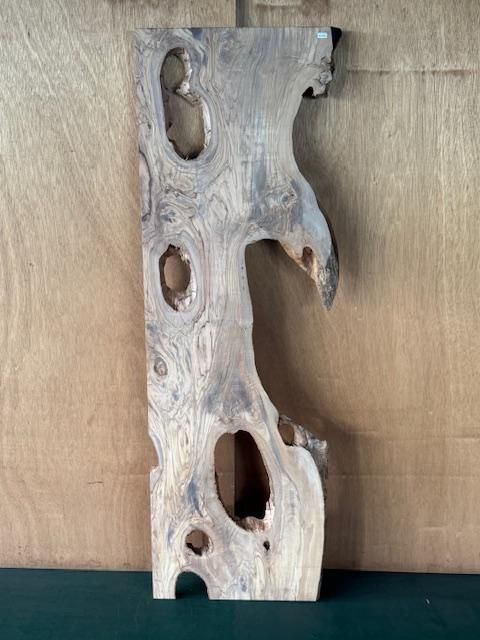 <img class='new_mark_img1' src='https://img.shop-pro.jp/img/new/icons5.gif' style='border:none;display:inline;margin:0px;padding:0px;width:auto;' />꡼֥åҼ214701405ߥꡡ