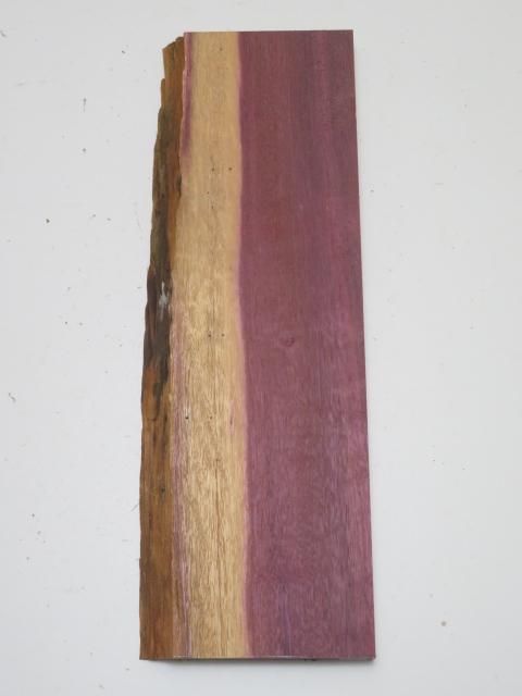 <img class='new_mark_img1' src='https://img.shop-pro.jp/img/new/icons5.gif' style='border:none;display:inline;margin:0px;padding:0px;width:auto;' />ѡץϡҼ24180533ߥꡡ