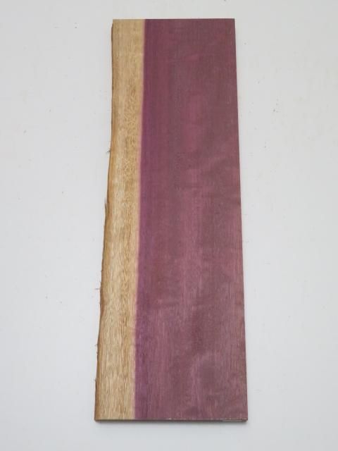 <img class='new_mark_img1' src='https://img.shop-pro.jp/img/new/icons5.gif' style='border:none;display:inline;margin:0px;padding:0px;width:auto;' />ѡץϡҼ20165504ߥꡡ