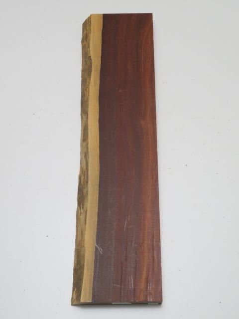 <img class='new_mark_img1' src='https://img.shop-pro.jp/img/new/icons5.gif' style='border:none;display:inline;margin:0px;padding:0px;width:auto;' />ѥҼ40175651ߥꡡ