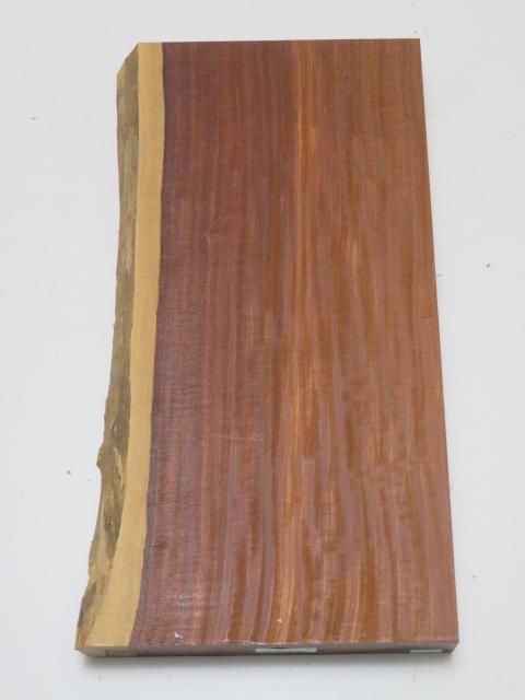 <img class='new_mark_img1' src='https://img.shop-pro.jp/img/new/icons5.gif' style='border:none;display:inline;margin:0px;padding:0px;width:auto;' />ѥҼ40135440ߥꡡ