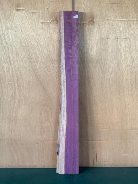 <img class='new_mark_img1' src='https://img.shop-pro.jp/img/new/icons5.gif' style='border:none;display:inline;margin:0px;padding:0px;width:auto;' />ѡץϡҼ242201553ߥꡡ