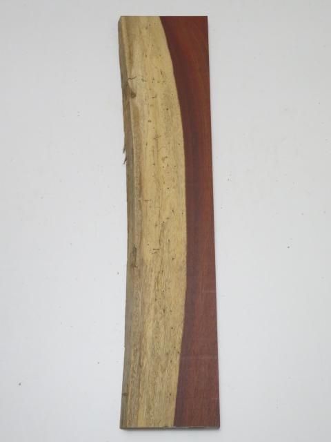 <img class='new_mark_img1' src='https://img.shop-pro.jp/img/new/icons5.gif' style='border:none;display:inline;margin:0px;padding:0px;width:auto;' />ƥ͡Ҽ20160725ߥꡡ