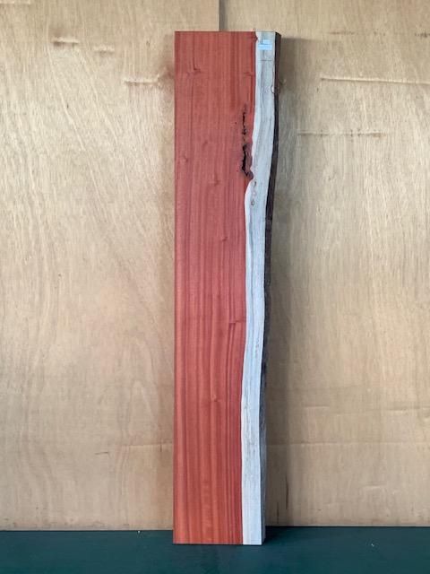 <img class='new_mark_img1' src='https://img.shop-pro.jp/img/new/icons5.gif' style='border:none;display:inline;margin:0px;padding:0px;width:auto;' />ѥɥҼ463201605ߥꡡ