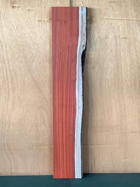 <img class='new_mark_img1' src='https://img.shop-pro.jp/img/new/icons5.gif' style='border:none;display:inline;margin:0px;padding:0px;width:auto;' />ѥɥҼ263101573ߥꡡ