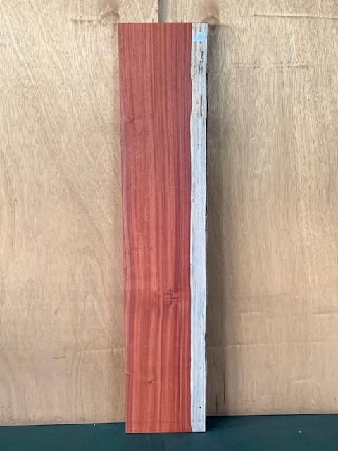 <img class='new_mark_img1' src='https://img.shop-pro.jp/img/new/icons5.gif' style='border:none;display:inline;margin:0px;padding:0px;width:auto;' />ѥɥҼ213001455ߥꡡ