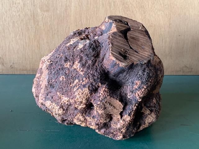 <img class='new_mark_img1' src='https://img.shop-pro.jp/img/new/icons5.gif' style='border:none;display:inline;margin:0px;padding:0px;width:auto;' />֥饤䡼(֥饤ˡ230270240ߥꡡ