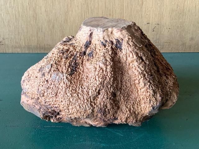 <img class='new_mark_img1' src='https://img.shop-pro.jp/img/new/icons5.gif' style='border:none;display:inline;margin:0px;padding:0px;width:auto;' />֥饤䡼(֥饤ˡ210250170ߥꡡ