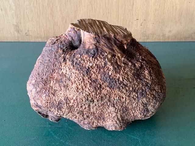 <img class='new_mark_img1' src='https://img.shop-pro.jp/img/new/icons5.gif' style='border:none;display:inline;margin:0px;padding:0px;width:auto;' />֥饤䡼(֥饤ˡ210260170ߥꡡ