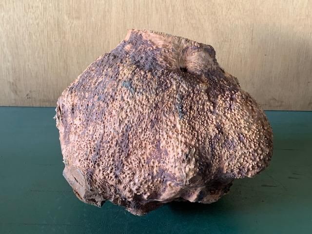 <img class='new_mark_img1' src='https://img.shop-pro.jp/img/new/icons5.gif' style='border:none;display:inline;margin:0px;padding:0px;width:auto;' />֥饤䡼(֥饤ˡ250310240ߥꡡ