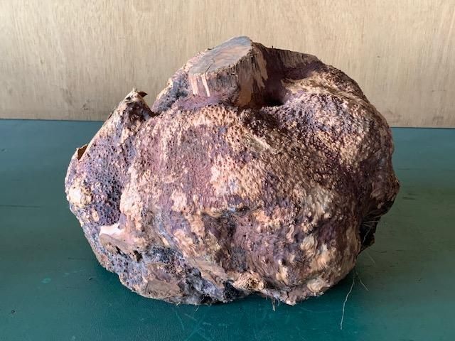 <img class='new_mark_img1' src='https://img.shop-pro.jp/img/new/icons5.gif' style='border:none;display:inline;margin:0px;padding:0px;width:auto;' />֥饤䡼(֥饤ˡ290350260ߥꡡ