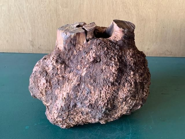 <img class='new_mark_img1' src='https://img.shop-pro.jp/img/new/icons5.gif' style='border:none;display:inline;margin:0px;padding:0px;width:auto;' />֥饤䡼(֥饤ˡ260330250ߥꡡ