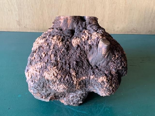 <img class='new_mark_img1' src='https://img.shop-pro.jp/img/new/icons5.gif' style='border:none;display:inline;margin:0px;padding:0px;width:auto;' />֥饤䡼(֥饤ˡ290300240ߥꡡ