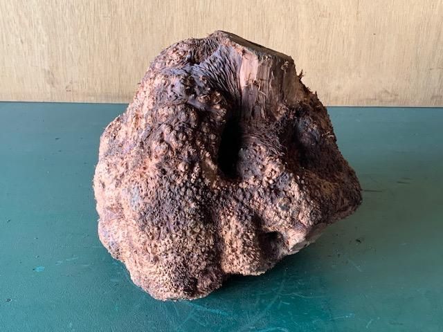 <img class='new_mark_img1' src='https://img.shop-pro.jp/img/new/icons5.gif' style='border:none;display:inline;margin:0px;padding:0px;width:auto;' />֥饤䡼(֥饤ˡ230290250ߥꡡ