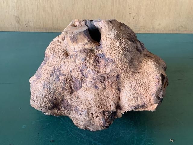 <img class='new_mark_img1' src='https://img.shop-pro.jp/img/new/icons5.gif' style='border:none;display:inline;margin:0px;padding:0px;width:auto;' />֥饤䡼(֥饤ˡ290300210ߥꡡ