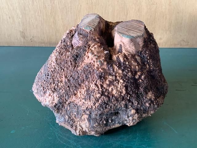 <img class='new_mark_img1' src='https://img.shop-pro.jp/img/new/icons5.gif' style='border:none;display:inline;margin:0px;padding:0px;width:auto;' />֥饤䡼(֥饤ˡ260290220ߥꡡ