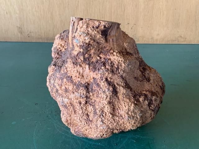 <img class='new_mark_img1' src='https://img.shop-pro.jp/img/new/icons5.gif' style='border:none;display:inline;margin:0px;padding:0px;width:auto;' />֥饤䡼(֥饤ˡ210250270ߥꡡ