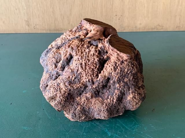 <img class='new_mark_img1' src='https://img.shop-pro.jp/img/new/icons5.gif' style='border:none;display:inline;margin:0px;padding:0px;width:auto;' />֥饤䡼(֥饤ˡ220270190ߥꡡ