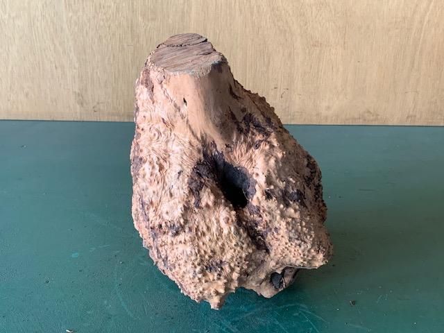 <img class='new_mark_img1' src='https://img.shop-pro.jp/img/new/icons5.gif' style='border:none;display:inline;margin:0px;padding:0px;width:auto;' />֥饤䡼(֥饤ˡ170210280ߥꡡ