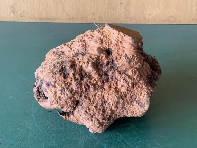 <img class='new_mark_img1' src='https://img.shop-pro.jp/img/new/icons5.gif' style='border:none;display:inline;margin:0px;padding:0px;width:auto;' />֥饤䡼(֥饤ˡ200260190ߥꡡ