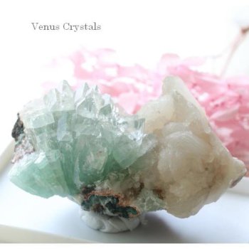 アポフィライト - 夕星庵 -Venus Crystals-