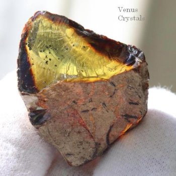 宝石質　レア　エチオピア産　ブルーグリーン　アンバー  (ブルーグリーンに蛍光） 　原石  31mm　