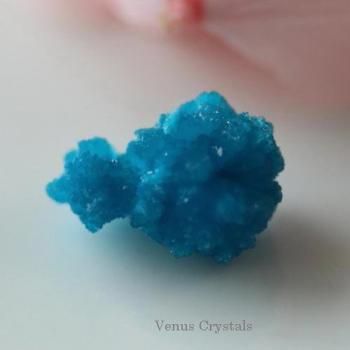 鉱物標本 結晶・原石 - 夕星庵 -Venus Crystals-