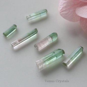 鉱物標本 結晶・原石 - 夕星庵 -Venus Crystals-