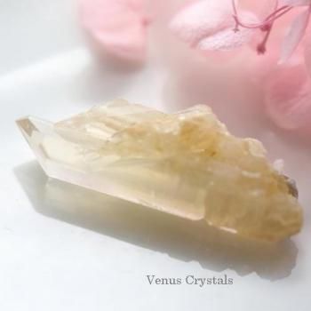 鉱物標本 結晶・原石 - 夕星庵 -Venus Crystals-