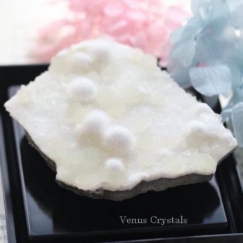 鉱物標本 結晶・原石 - 夕星庵 -Venus Crystals-