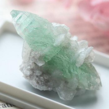 鉱物標本 結晶・原石 - 夕星庵 -Venus Crystals-