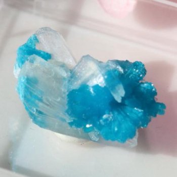 鉱物標本 結晶・原石 - 夕星庵 -Venus Crystals-